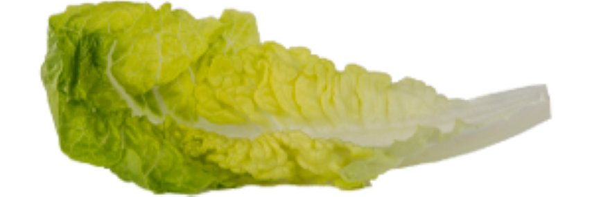 Eisbergsalat